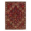 Oriental Area Rug in Red