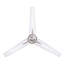 Tigela Ceiling Fan