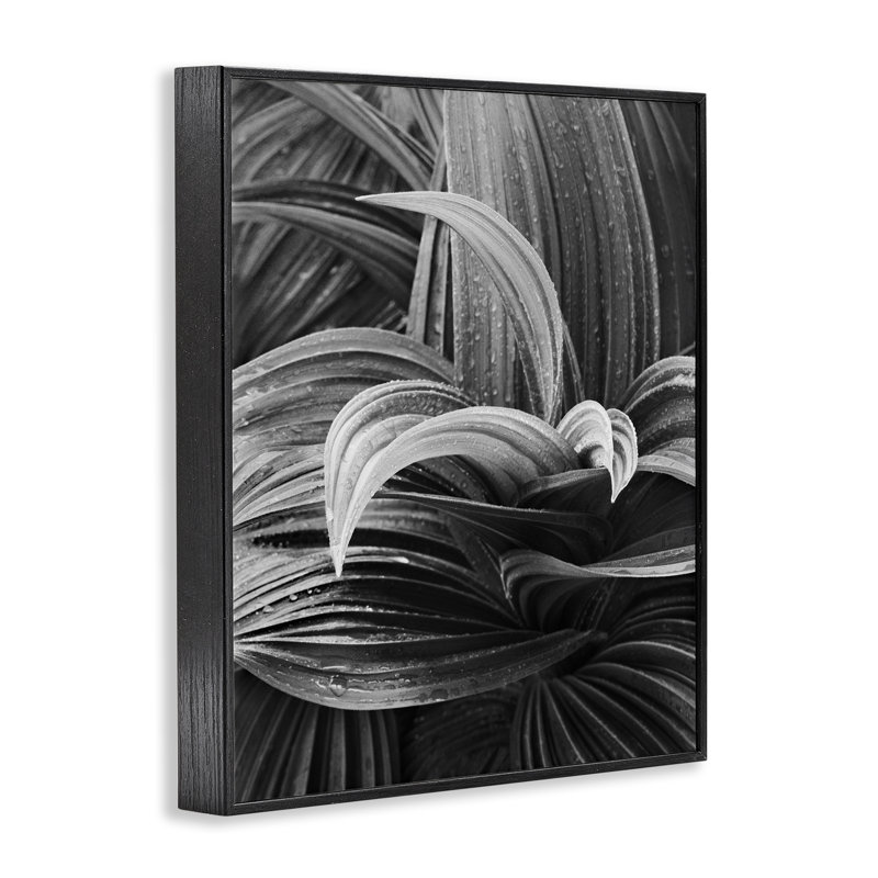 «Wet Leaves» par Chip Forelli bg-128, Giclée encadrée noir minuit, H 14 po x l 11 po