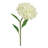 Hydrangea Arrangement-17896838