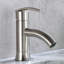 Single Hole Bathroom Faucet with Drain Assembly-20318009