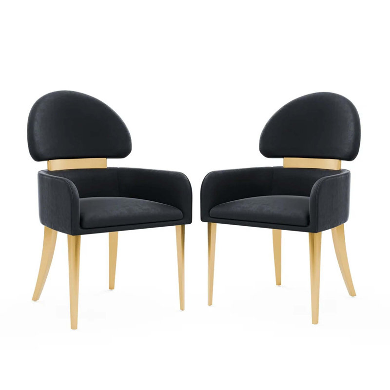 Chaises à accoudoirs 2 pièces style contemporain en acier inoxydable, Noir