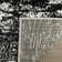 Kittredge Area Rug