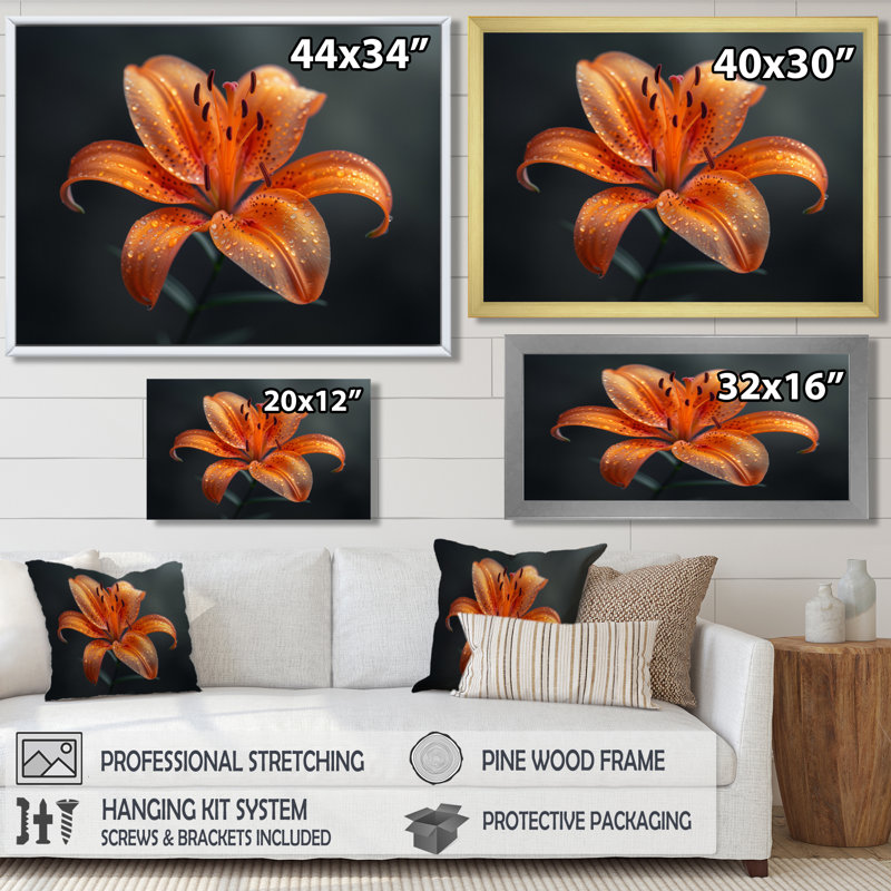 Orange orange, lis noir, photo de printemps IV - lys, art mural, H 30 po x l 40 po, Cadre flottant doré