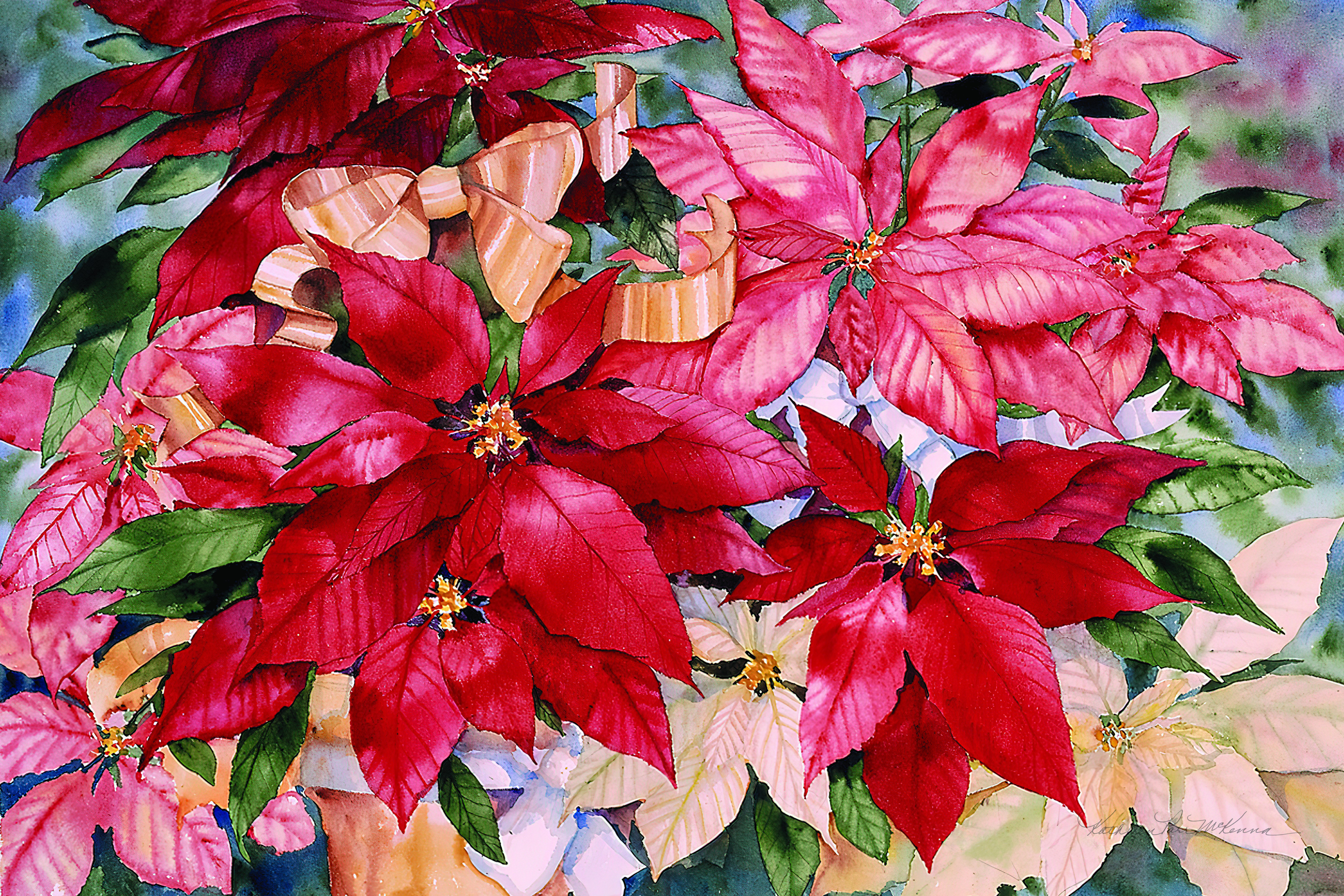 Trademark Fine Art 'Poinsettia Pretty IV' Canvas Art by Kristy Rice 