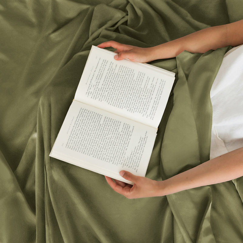 Twin Sage Green Microfiber Stripe Sheet Set for Kids