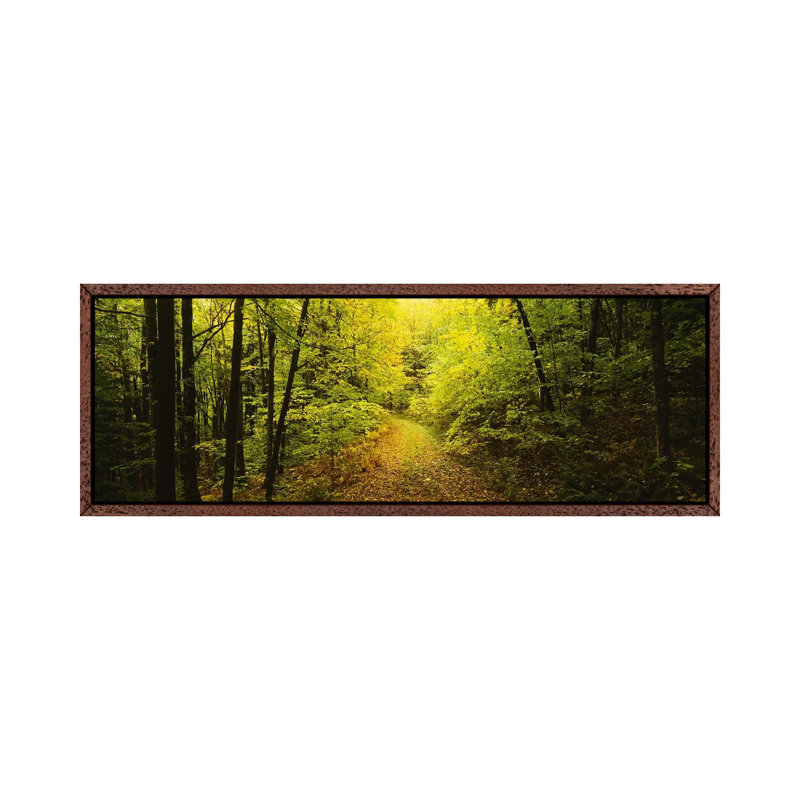 Dirt road passing through a forest, Vermont, USA 1 Piece Panoramic Wall Art on Canvas, 121.92 cm H x 40.64 cm W