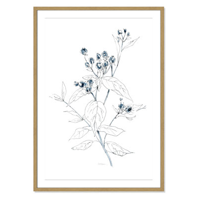 Indigo Sketch I by Carol Robinson
