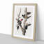Ivory Billed Woodpeckers by John Audubon - Framed Print-55576174-55576175