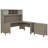 Magomed Piece Standing Desk Office Set-589620749