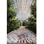 Chihuly Pheasant Fire Area Rug-56519317