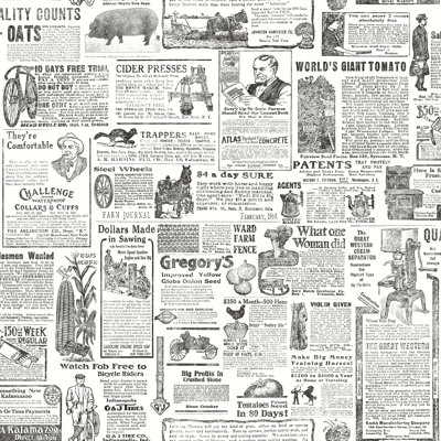 Rouleau de papier peint à journaux rétro Needville L 33 pi x l 20,5 po