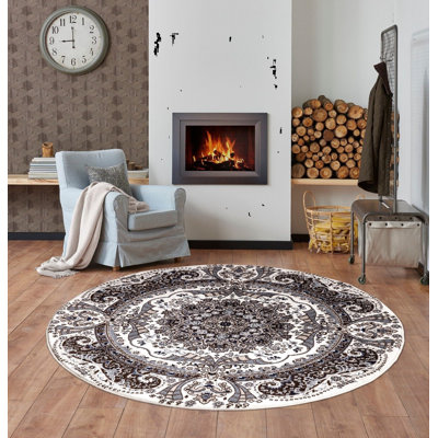 Round Efkea 120cm X 120cm Area Rug
