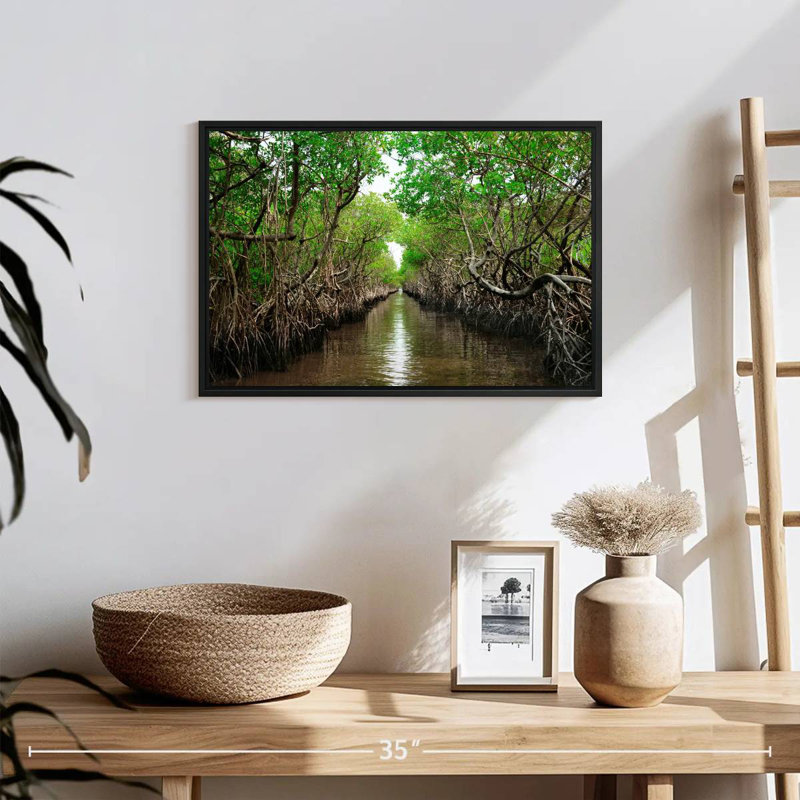 Mangroves de Everglade City, 19 po x 13 po, Cadre flottant noir