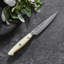 ZWILLING Bob Kramer Cumulus 4-Inch Paring Knife