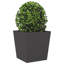 Asua Metal Planter Box-1391832535-1391832528