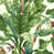 Blanc / gris-vert / jaune clair / vert