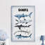 Assortiment de requins, reproduction sur toile tendue-295462865