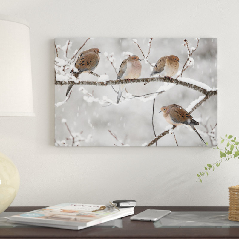 «Mourning Dove Group in Winter», Nouvelle-Écosse, Canada I par Scott Leslie - reproduction de photo, Toile tendue