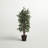 72'' Faux Tree in Wicker/Rattan Basket