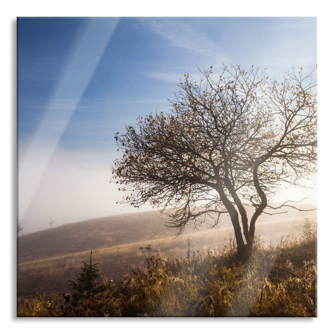 Glasbild Baum im hohen Gras