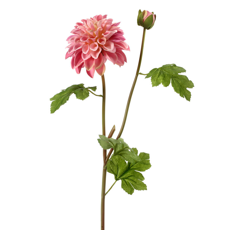 Dahlia Sprays, Mauve