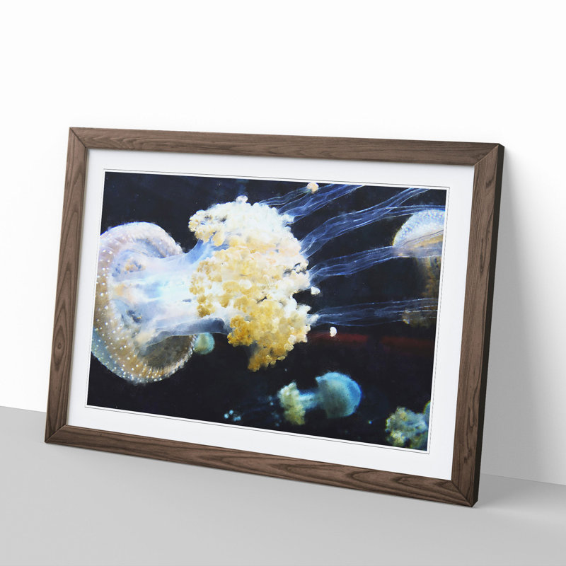 Jellyfish Vol.3 - Picture Frame Painting, Walnut, 27cm H x 36cm W x 2cm D