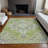 Machine Washable Indoor/Outdoor Chayden ACN1036 Rug-891132181