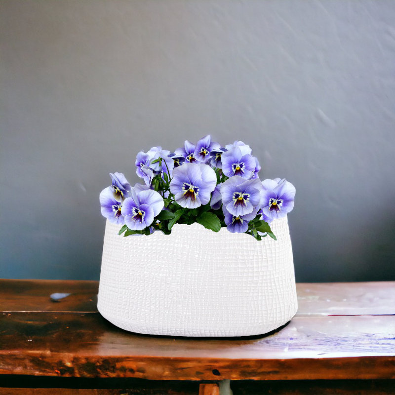 Vase de table en céramique Rajish, Blanc