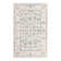 Hilley Oriental Indoor Rug