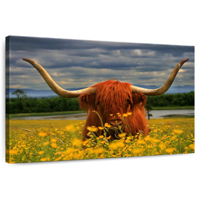 Brampt Floral Highland Cow
