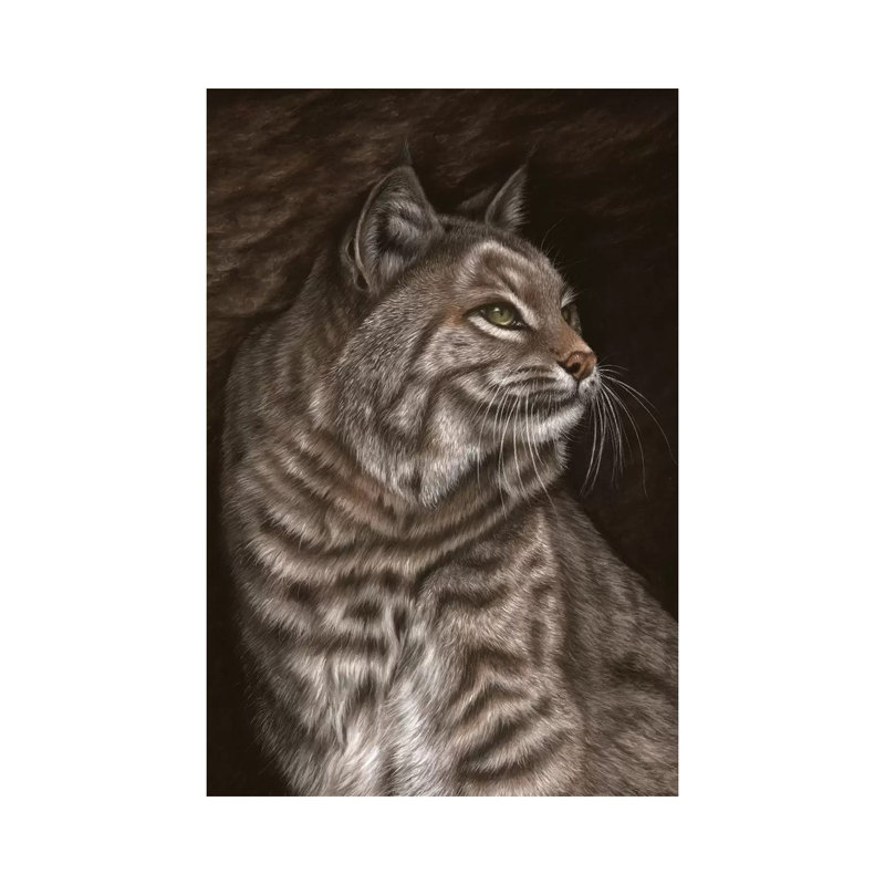 Bobcat by Richard Macwee - Wrapped Canvas Gallery-Wrapped Canvas Giclée, 20.32 cm H x 30.48 cm W