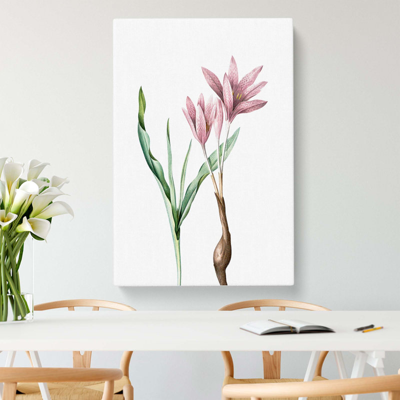Pink Autumn Crocus Flowers by Pierre-Joseph Redoute - Wrapped Canvas, 76cm H x 50cm W x 3cm D