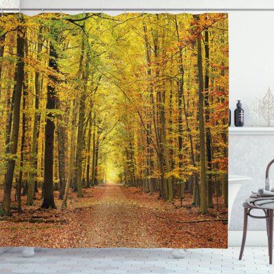 Fall Pathway in Forest with Faded Leaves Dramatic Romantic Season Scene Shower Curtain Set -  East Urban Home, sc_18824