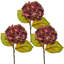 Hydragnea d'automne 23 po Just Cut-1135838030