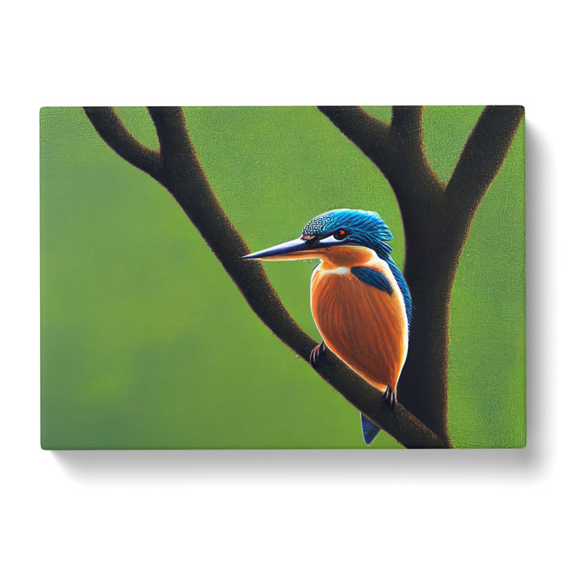 Beguiling Kingfisher Bird - Wrapped Canvas Print, 50cm H x 76cm W x 3cm D