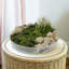 Plateau de table à café designer-15058439-15058441