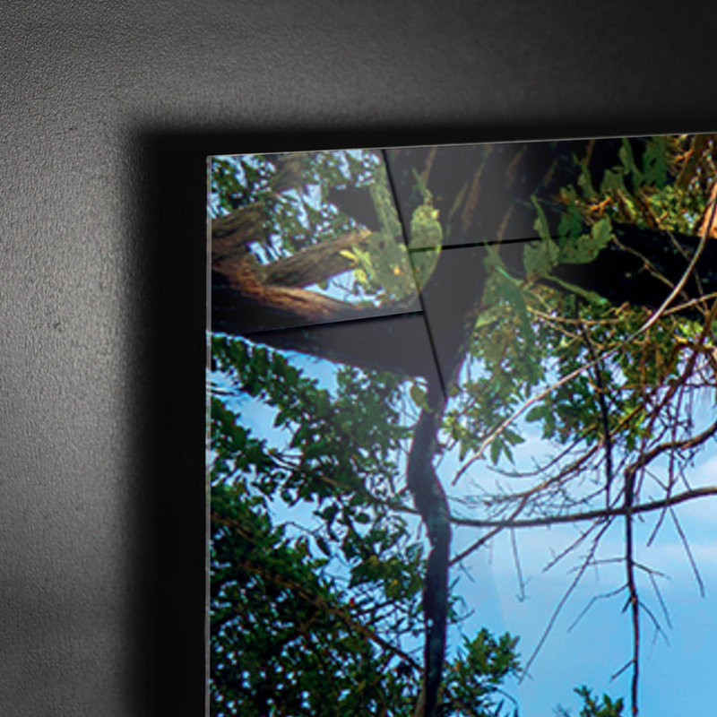 Jungle in Panama 1 Piece Wall Art on Glass, 95cm H x 135cm W