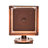 Cadence Metal and Solid Brass Wall Light