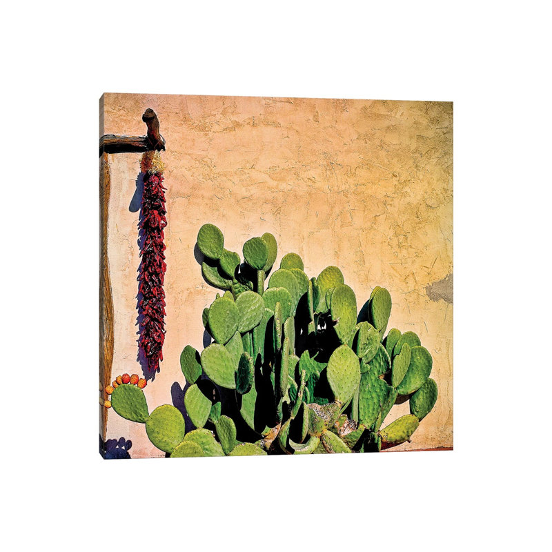 Prickly Pear And Chillis by Mark Paulda - Print on Canvas, 66.04cm H x 66.04cm W x 3.81cm D, Wrapped Canvas
