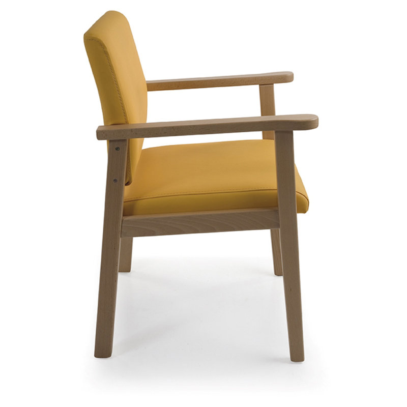 Adeliene Upholstered Armchair, Brown, Yellow