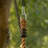 PLAYBERG Plastic Swing Set Rope Ladder