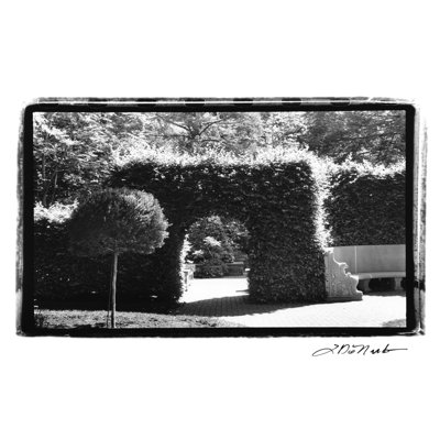 Garden Hideaway III by Laura DeNardo - Wrapped Canvas Print