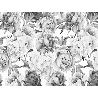 Xzavien Charcoal Flower Monochrome Peony TEXTILE Wallpaper