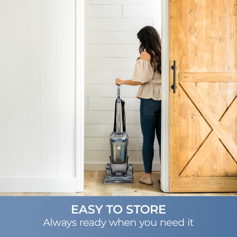 RevitaLite Carpet Cleaner