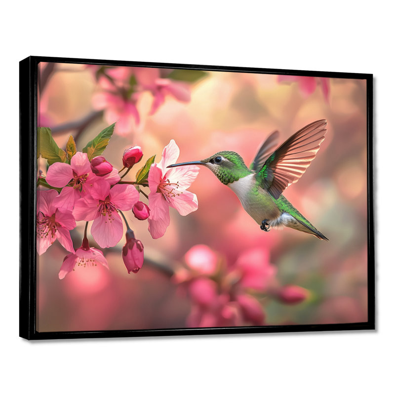 Colibri et fleurs - oiseau, art mural, Noir, Cadre flottant, H 24 po x l 32 po