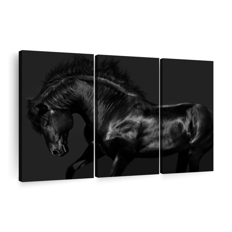 «Stallion Black On Black» sur toile, H 45 po x l 28 po