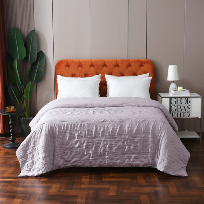Standard Throw Blanket