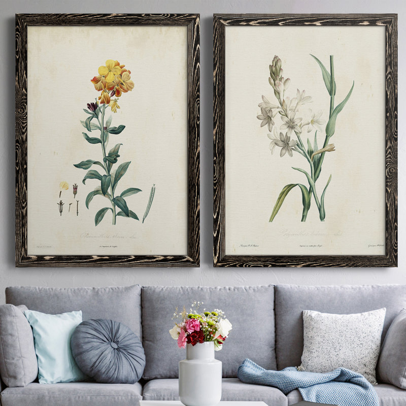 Toile encadrée de qualité supérieure Traditional Botanical III - prête à être accrochée, H 31,5 po x l 47 po x P 1,5 po