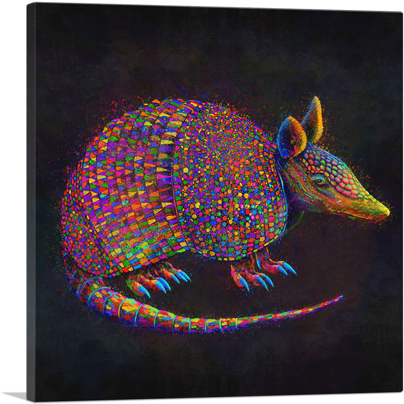 " Armadillo ", 26" H x 26" W x 1.5" D